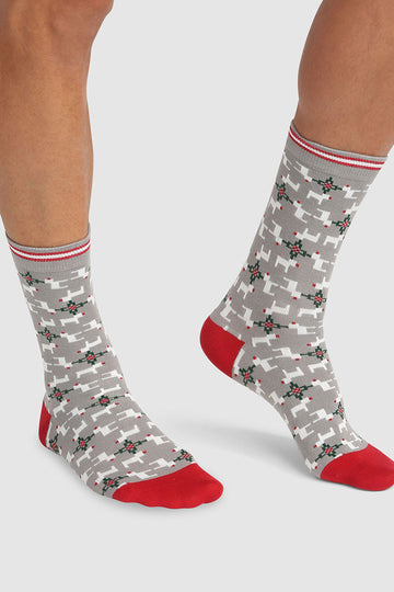 МУЖСКИЕ НОСКИ Color sox DIM